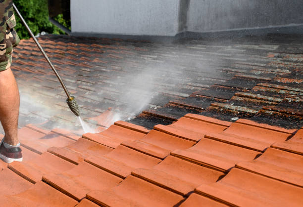 Pressure Washing Services for Businesses in Tubac, AZ