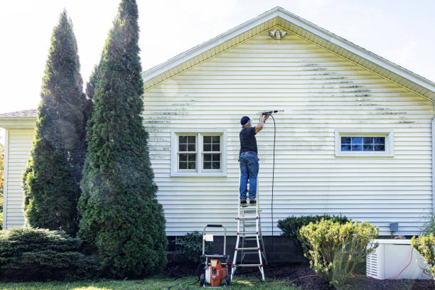 Professional Pressure Washing in Tubac, AZ