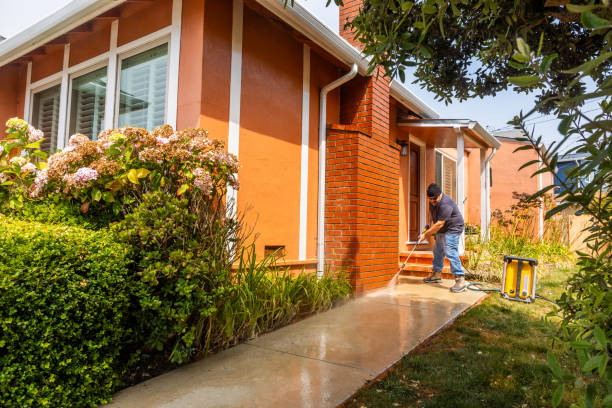 Best Best Pressure Washing Companies  in Tubac, AZ